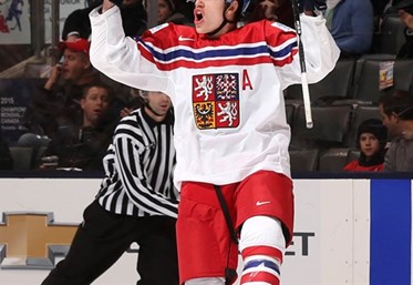 TORONTO, CANADA - DECEMBER 27: Czech Republic's David Nemecek #8 celebrates after a first period goal against Switzerland during preliminary round action at the 2015 IIHF World Junior Championship. (Photo by Andre Ringuette/HHOF-IIHF Images)


